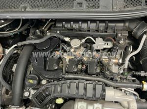 Xe Peugeot 2008 GT Line 1.2 AT 2021